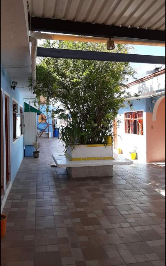 Hotel Reforma Inn Queretaro Ngoại thất bức ảnh